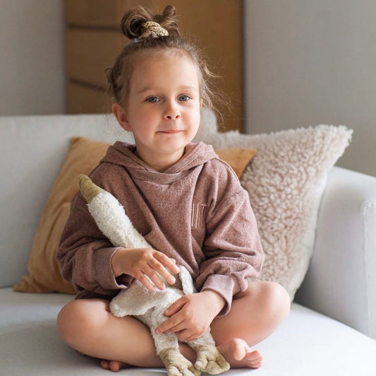 Cozy Terry Hoodie | Ash Rose